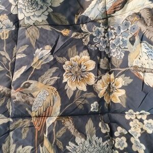 Pottery Barn BLOOM Euro Shams